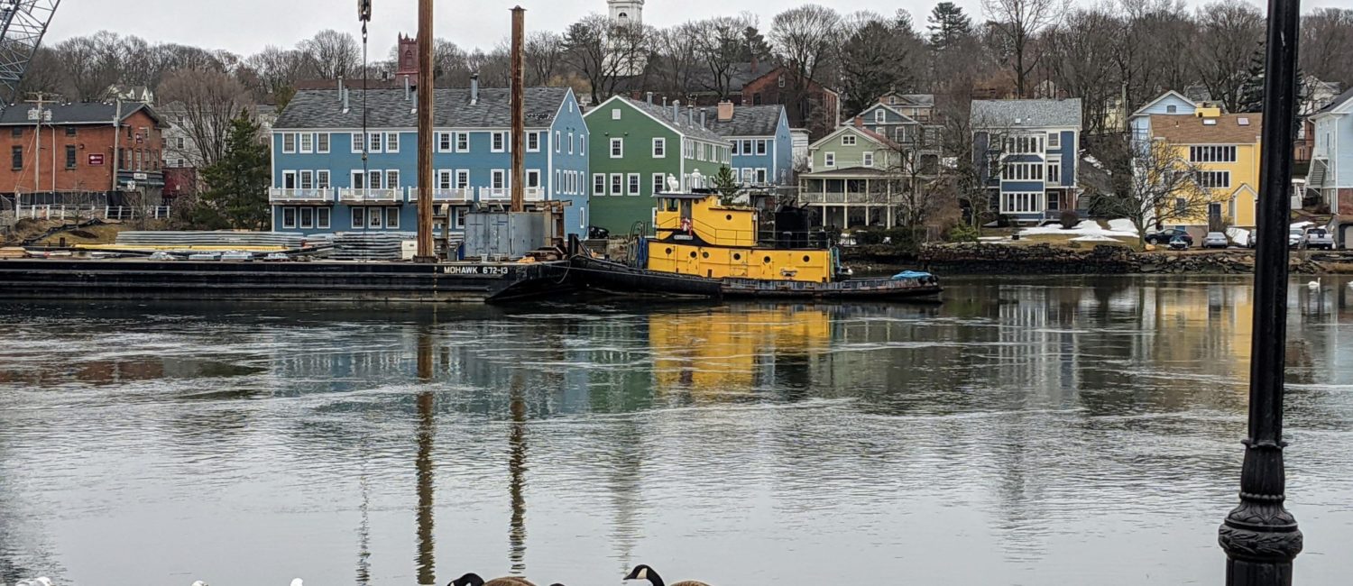 Geese by the Quinnipiac River